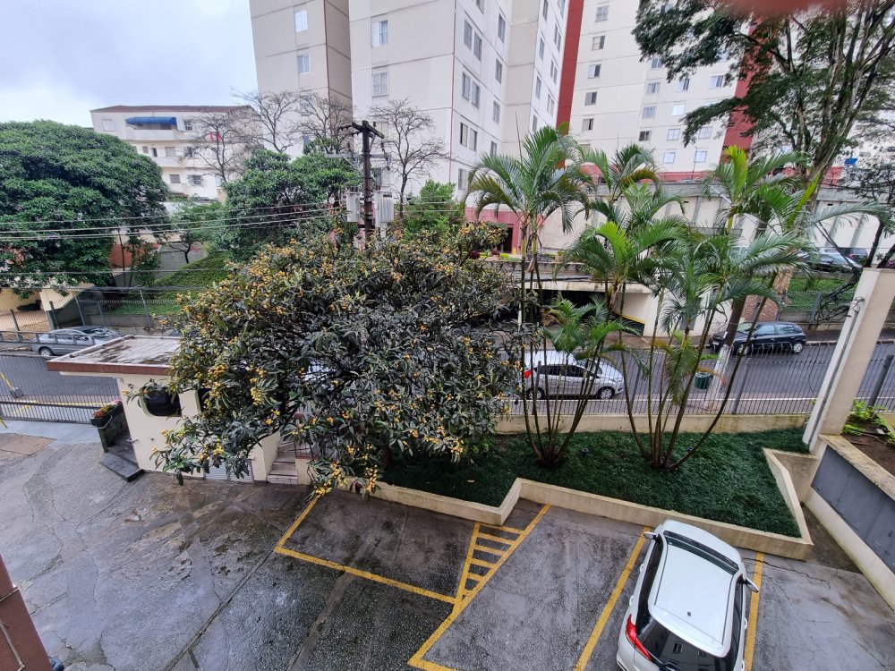 Apartamento - Venda - Vila Mariana - São Paulo - SP