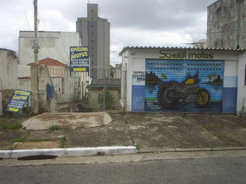 Terreno - Venda - Vila Oratório - São Paulo - SP