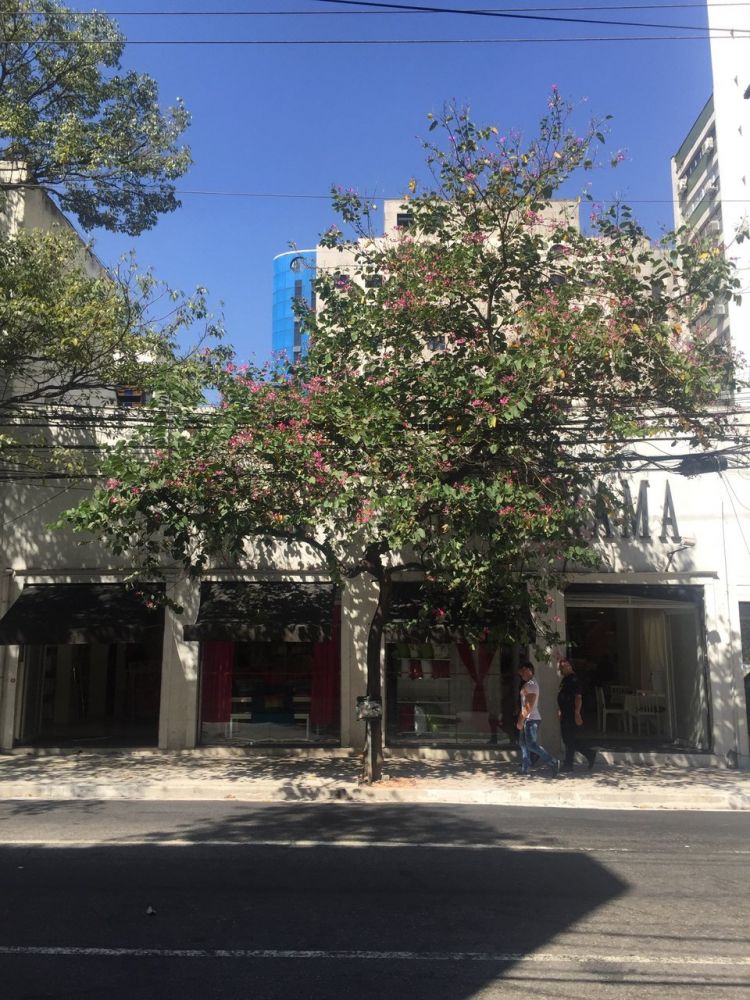 Loja - Aluguel - Itaim Bibi - São Paulo - SP