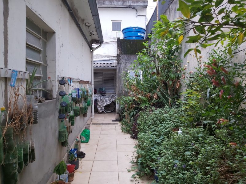 Casa em Condomínio - Venda - Itaim Bibi - São Paulo - SP