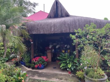 Casa Comercial para Aluguel